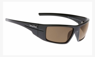 Ugly Fish Crater Pc3095 Shiny Black Frame Brown Lens - Transparent Material