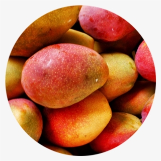 Mango Juice - Mango Flickr