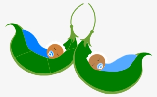 Babies In Pods - Baby In Pea Pod Clipart