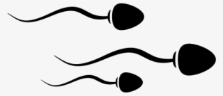 Sperm Icon