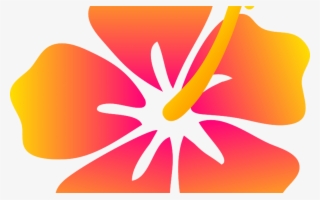 Free Hibiscus Flower Outline, Download Free Clip Art, - Hibiscus Flower Clipart Transparent