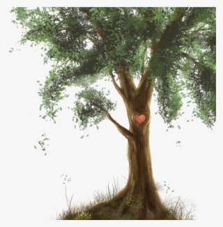 The Tree Trunk - Plants Png