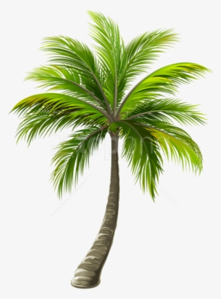 Free Png Download Palm Png Images Background Png Images - Palm Tree Top View Png