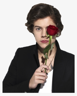 #гарри Стайлс #ван Дирекшен #роза #png #harry Styles - Harry Styles With Rose