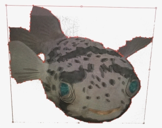 Blow Koi Fish