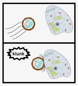 Representation Of A Nanodiamond With A Chemical Coating - Animal Cell Clip Art