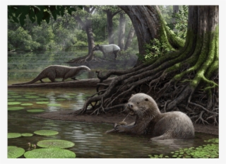 Giant Otter Fossil The Size Of A Wolf Discovered In - Giant Otter Extinct