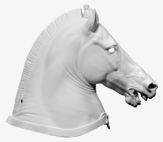 3d Scan Of Horse Head