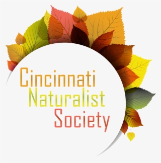 Displaying 19 Gt Images For - Vector Graphics