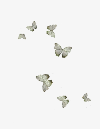 Interesting Si Quieres Pedir Ms Informacin Sobre Las - Bath White