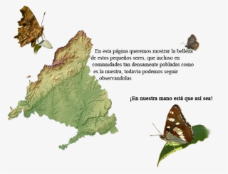 En Esta Página Queremos Mostrar La Belleza De Estos - Madrid Xaritasi