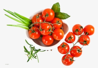 Tomatoes - Помидоры Пнг