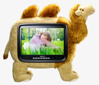 Hannscamel 19″ Tv - Hannspree Fernseher