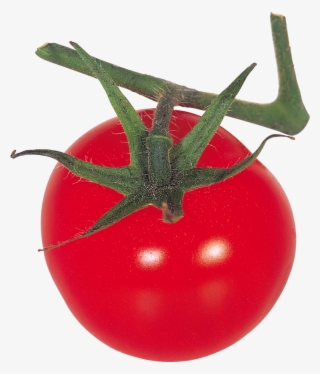 Tomato Png, Download Png Image With Transparent Background, - Plum Tomato