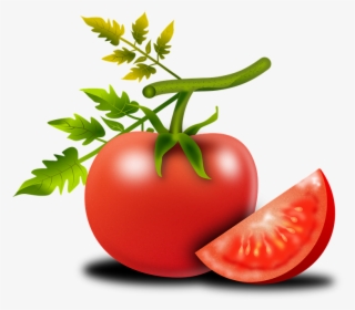 Tomato Png Shop Of Library Buy Clip Ⓒ - มะเขือเทศ Png