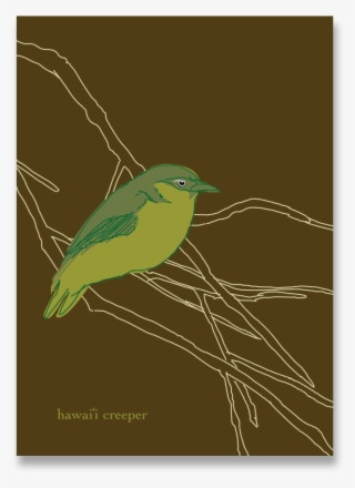 Hawai'i Creeper Notecard - Illustration