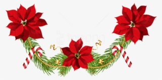 Free Png Christmas Poinsettias Garland Png - Poinsettia Christmas Decorations Clipart
