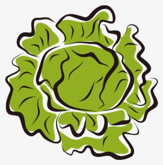 Iceberg Salad Clip Art Royalty Free - Lettuce Clip Art