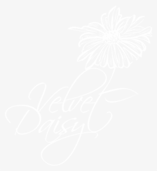 Velvet Daisy - Close Icon Png White