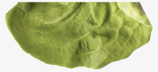 Preview Burger Lettuce Apha - Placemat