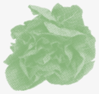 Salad Starters - Spinach Greens