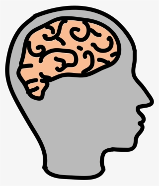 Brain Cartoon Drawing Clip Art