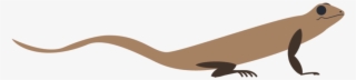 Lizard