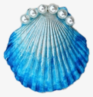 #shell #pretty #cute #cuteness #freetoedit - Muschel Kette Selber Machen