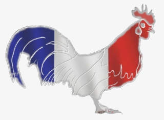 France-gallic Rooster Photo Francegallicrooster - Rooster