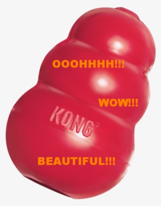 The Kong Company Has Not Paid Me For This Glowing Recommendation - Plastic