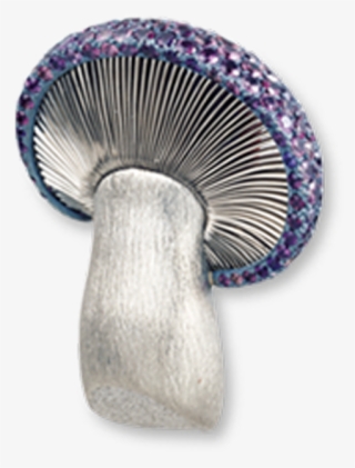 Russula Integra