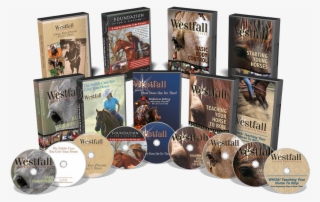 Img Shop-dvd - Cd