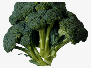 Kale Clipart Transparent - Vegetables Grown In Spring Season