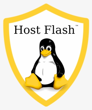 Host Flash™ Logo Simple - Windows Mac Linux Png