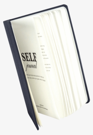 The Daily Structure That Makes Your Success Inevitable - Vellum