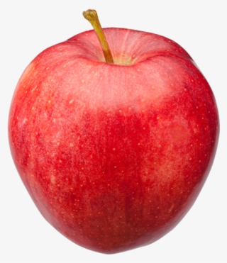 Large Picture Of Apple