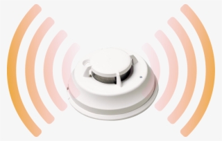 Censor De Humo - Circle