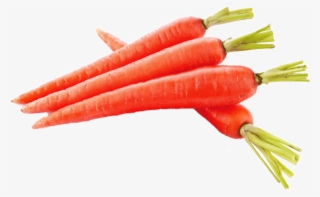 Carrot 1 Kg - Gajar Vegetable
