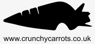 Junior Web Developer With Crunchy Carrots - Illustration