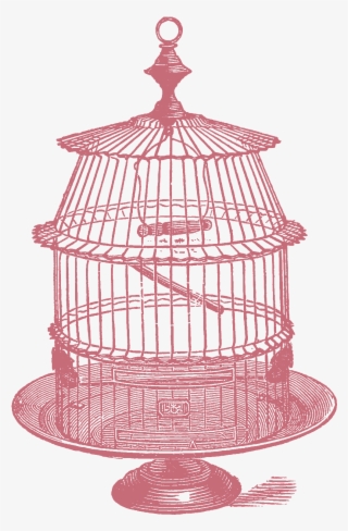 Jpeg - Cage