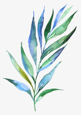 Watercolour Watercolor Plants, Watercolour, Leaves, - Green Plant Watercolor Tattoo
