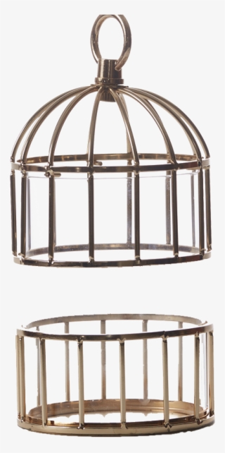 Cage