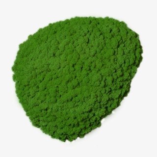 Moss Stone Moss Image Made Of Premium Moss Super Sale - Mint Leaves With Clear Background