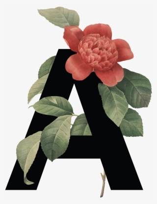 Save To Collection - Floral Alphabet Png