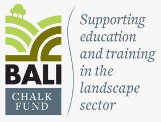 Bali Chalk Web - Poster