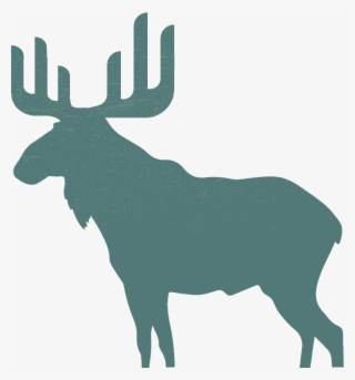 Moose Engineers Building Mep, Commissioning, It/security - Clip Art