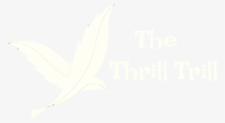 The Thrill Trill - Sketch