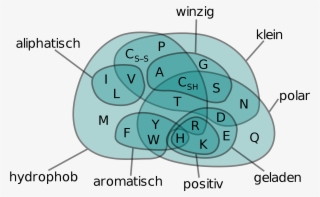 Datei Amino Acids Venn Diagram De Svg Wikipedia - Venn Diagram