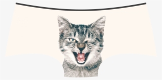 Lickstarter Pussycat Panties / Panty Store - Cat Yawns