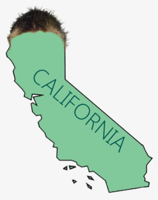 8486797 - California